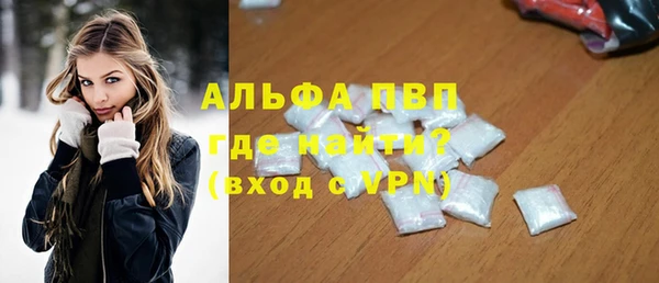 гидра Белокуриха
