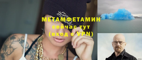 гидра Белокуриха