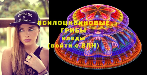 гидра Белокуриха