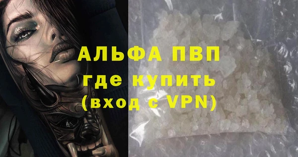 гидра Белокуриха